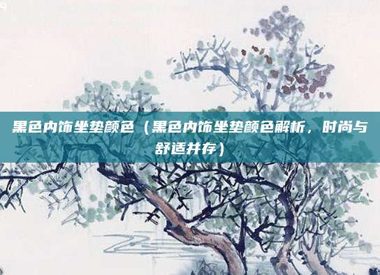 黑色内饰坐垫颜色（黑色内饰坐垫颜色解析，时尚与舒适并存）