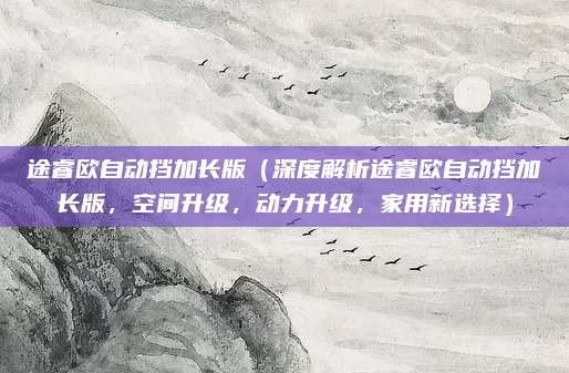 途睿欧自动挡加长版（深度解析途睿欧自动挡加长版，空间升级，动力升级，家用新选择）