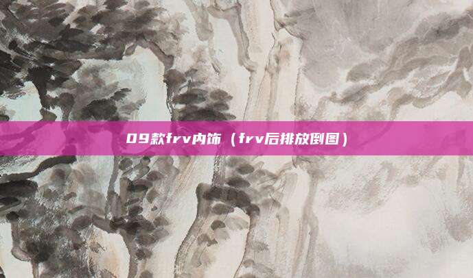 09款frv内饰(frv后排放倒图)