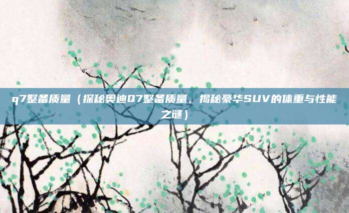 q7整备质量（探秘奥迪Q7整备质量，揭秘豪华SUV的体重与性能之谜）