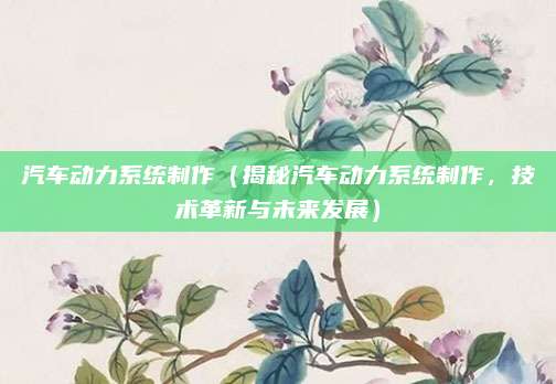 汽车动力系统制作（揭秘汽车动力系统制作，技术革新与未来发展）
