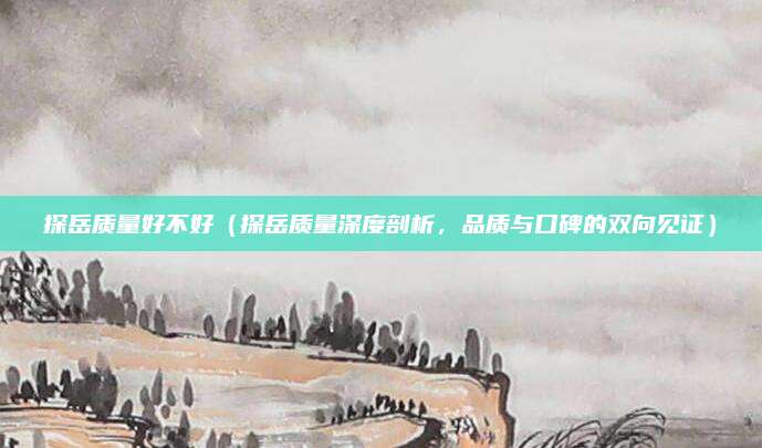 探岳质量好不好（探岳质量深度剖析，品质与口碑的双向见证）