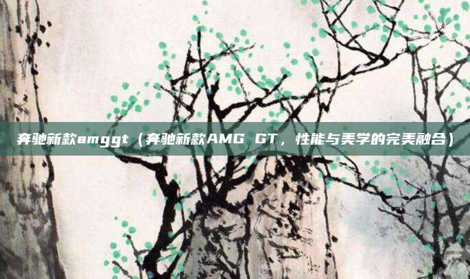 奔驰新款amggt（奔驰新款AMG GT，性能与美学的完美融合）