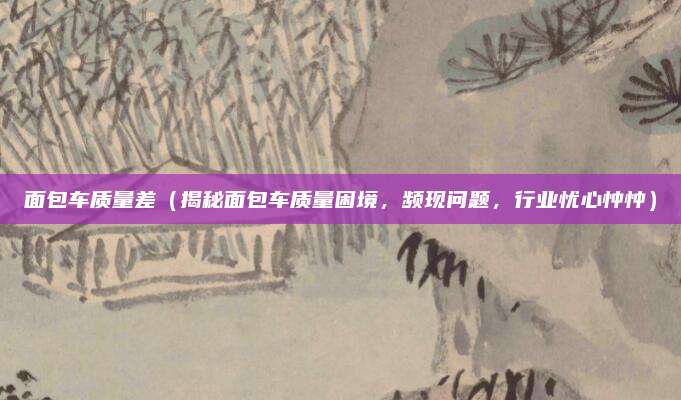 面包车质量差（揭秘面包车质量困境，频现问题，行业忧心忡忡）
