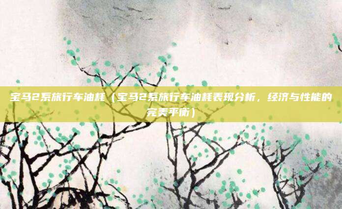宝马2系旅行车油耗（宝马2系旅行车油耗表现分析，经济与性能的完美平衡）
