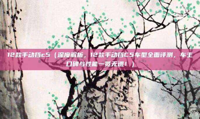 12款手动挡c5（深度解析，12款手动挡C5车型全面评测，车主口碑与性能一览无遗！）