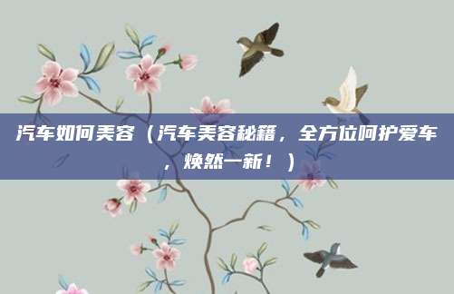 汽车如何美容（汽车美容秘籍，全方位呵护爱车，焕然一新！）