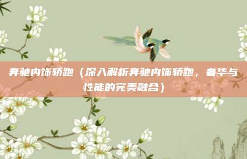 奔驰内饰轿跑（深入解析奔驰内饰轿跑，奢华与性能的完美融合）