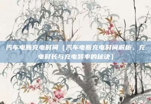 汽车电瓶充电时间（汽车电瓶充电时间解析，充电时长与充电频率的秘诀）