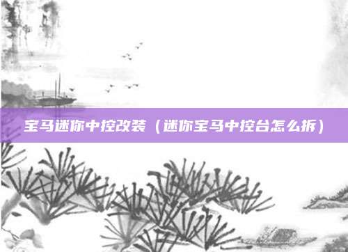 宝马迷你中控改装(迷你宝马中控台怎么拆)