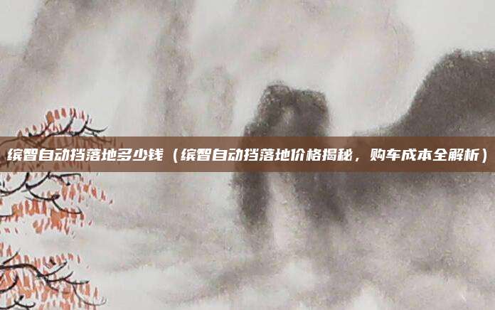 缤智自动挡落地多少钱（缤智自动挡落地价格揭秘，购车成本全解析）