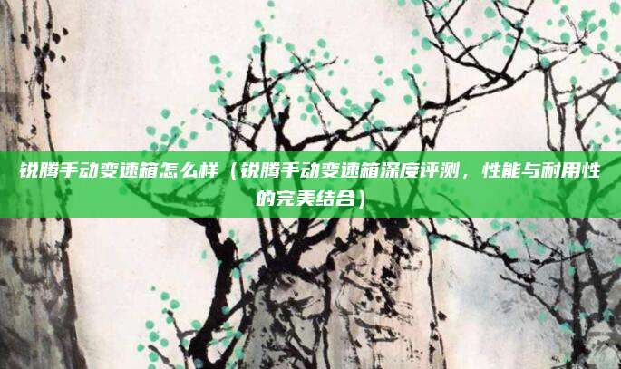 锐腾手动变速箱怎么样（锐腾手动变速箱深度评测，性能与耐用性的完美结合）