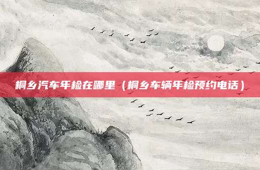 桐乡汽车年检在哪里(桐乡车辆年检预约电话)