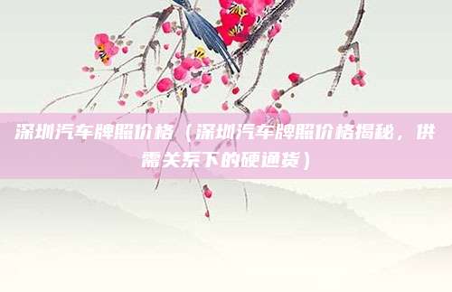 深圳汽车牌照价格（深圳汽车牌照价格揭秘，供需关系下的硬通货）