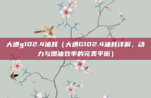 大通g102.4油耗（大通G102.4油耗详解，动力与燃油效率的完美平衡）