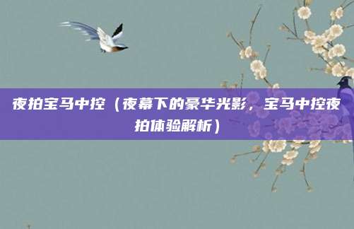 夜拍宝马中控（夜幕下的豪华光影，宝马中控夜拍体验解析）