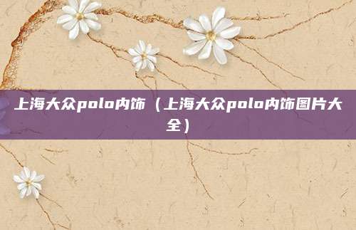 上海大众polo内饰(上海大众polo内饰图片大全)
