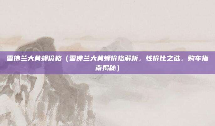 雪佛兰大黄蜂价格（雪佛兰大黄蜂价格解析，性价比之选，购车指南揭秘）