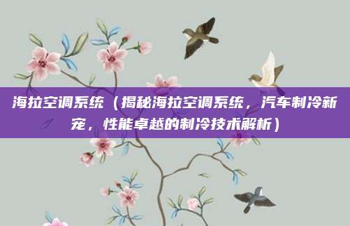 海拉空调系统（揭秘海拉空调系统，汽车制冷新宠，性能卓越的制冷技术解析）