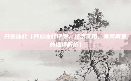 开迪油耗（开迪油耗评测，经济实用，家商两宜的选择解析）