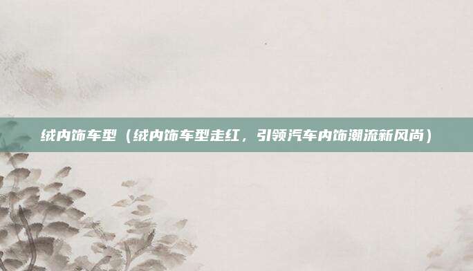 绒内饰车型（绒内饰车型走红，引领汽车内饰潮流新风尚）