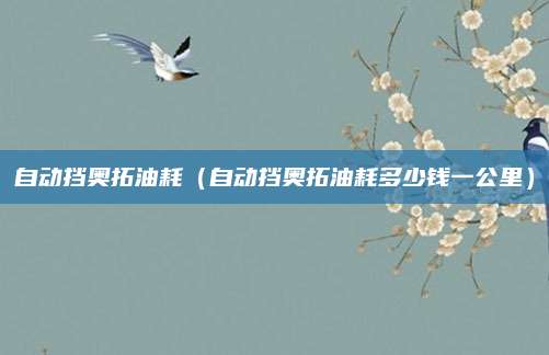 自动挡奥拓油耗(自动挡奥拓油耗多少钱一公里)