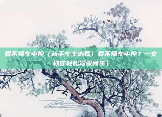 看不懂车中控（新手车主必看！看不懂车中控？一文教你轻松驾驭新车）