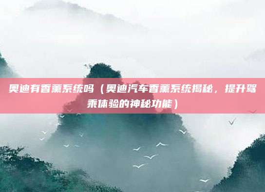 奥迪有香薰系统吗（奥迪汽车香薰系统揭秘，提升驾乘体验的神秘功能）
