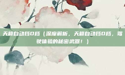 天籁自动挡D档（深度解析，天籁自动挡D档，驾驶体验的秘密武器！）