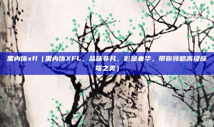 黑内饰xfl（黑内饰XFL，品味非凡，彰显奢华，带你领略高级座驾之美）