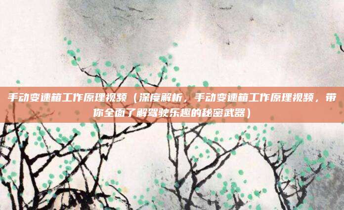 手动变速箱工作原理视频（深度解析，手动变速箱工作原理视频，带你全面了解驾驶乐趣的秘密武器）