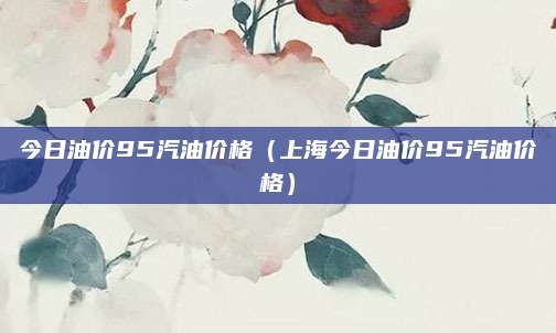 今日油价95汽油价格(上海今日油价95汽油价格)