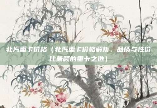 北汽重卡价格（北汽重卡价格解析，品质与性价比兼顾的重卡之选）