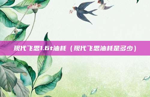 现代飞思1.6t油耗(现代飞思油耗是多少)