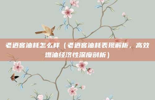 老逍客油耗怎么样（老逍客油耗表现解析，高效燃油经济性深度剖析）