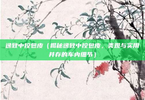 逸致中控包皮（揭秘逸致中控包皮，美观与实用并存的车内细节）