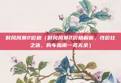 时风风景2价格（时风风景2价格解析，性价比之选，购车指南一览无余）