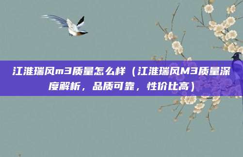 江淮瑞风m3质量怎么样（江淮瑞风M3质量深度解析，品质可靠，性价比高）