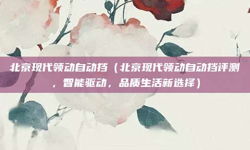北京现代领动自动挡（北京现代领动自动挡评测，智能驱动，品质生活新选择）