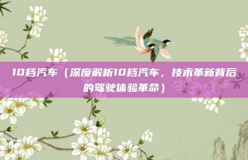 10档汽车（深度解析10档汽车，技术革新背后的驾驶体验革命）