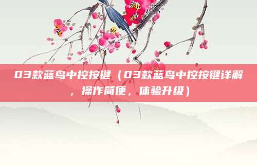 03款蓝鸟中控按键（03款蓝鸟中控按键详解，操作简便，体验升级）