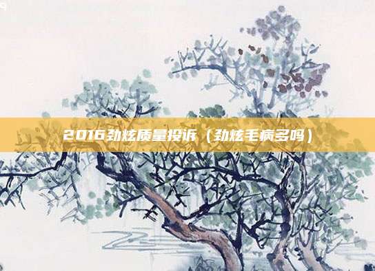 2016劲炫质量投诉(劲炫毛病多吗)