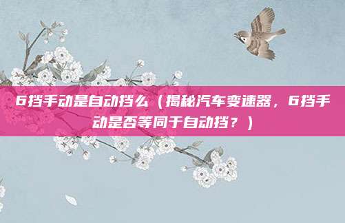 6挡手动是自动挡么（揭秘汽车变速器，6挡手动是否等同于自动挡？）