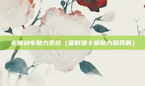 卡宴刹车助力系统(保时捷卡宴助力泵异响)