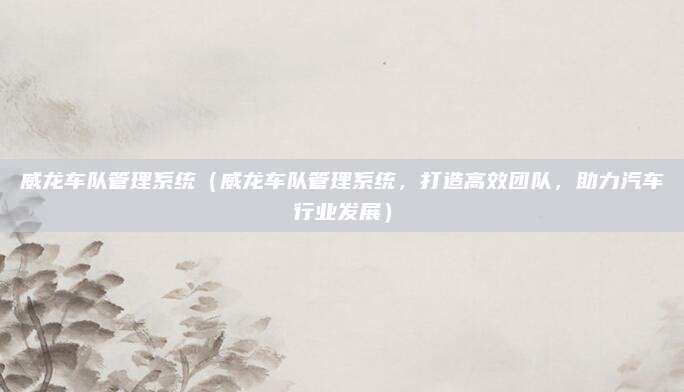 威龙车队管理系统（威龙车队管理系统，打造高效团队，助力汽车行业发展）