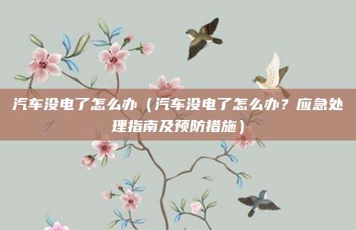 汽车没电了怎么办（汽车没电了怎么办？应急处理指南及预防措施）