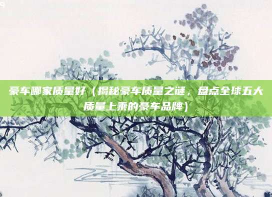 豪车哪家质量好（揭秘豪车质量之谜，盘点全球五大质量上乘的豪车品牌）