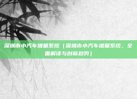 深圳市小汽车增量系统（深圳市小汽车增量系统，全面解读与创新趋势）