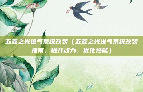 五菱之光进气系统改装（五菱之光进气系统改装指南，提升动力，优化性能）
