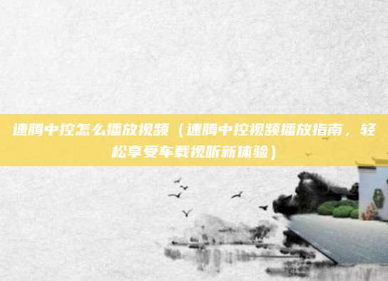 速腾中控怎么播放视频（速腾中控视频播放指南，轻松享受车载视听新体验）